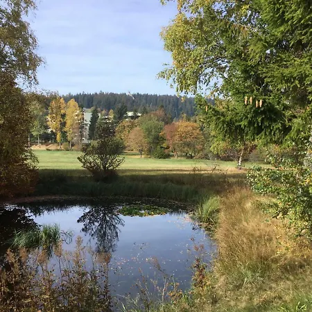 Gemuetliche 1z In Mit Balkon, Schwimmbad, Sauna, Fitness Schoenwald im Schwarzwald