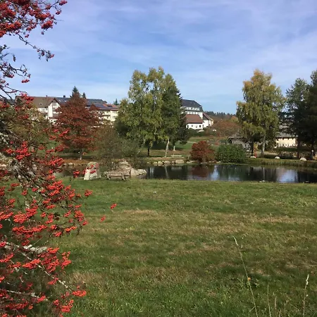 Gemuetliche 1z In Mit Balkon, Schwimmbad, Sauna, Fitness Apartment Schoenwald im Schwarzwald